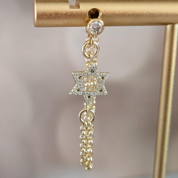 (title) - (shopname) - (section)