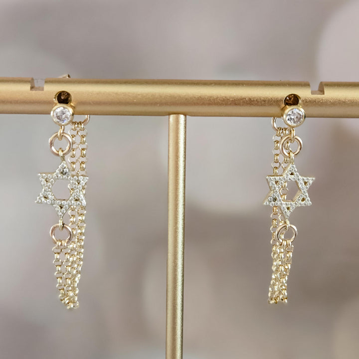 (title) - (shopname) - (section)