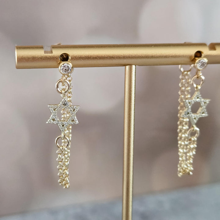 (title) - (shopname) - (section)