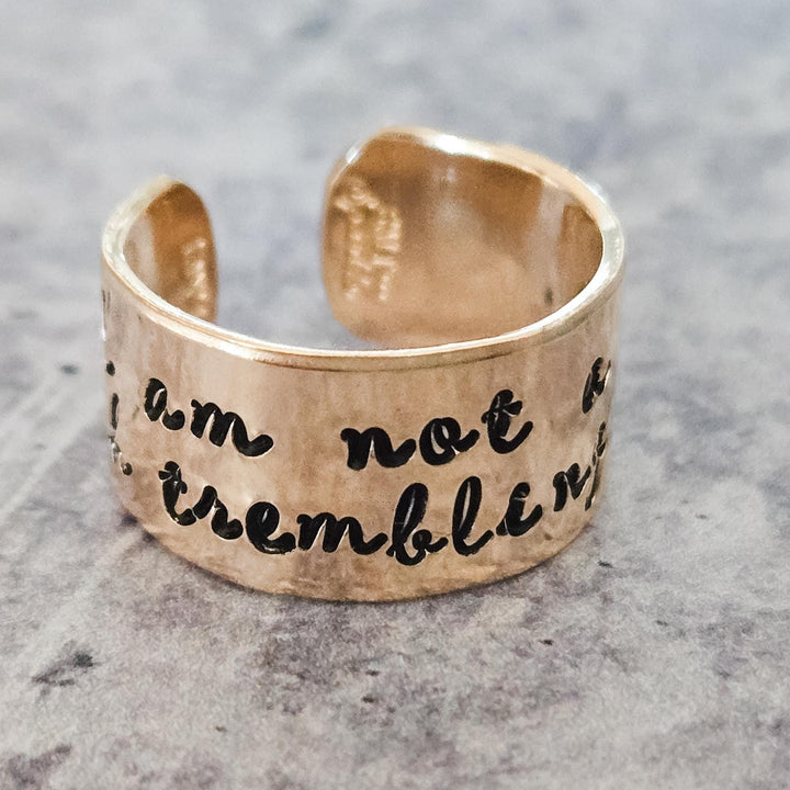 (title) - (shopname) - (section)